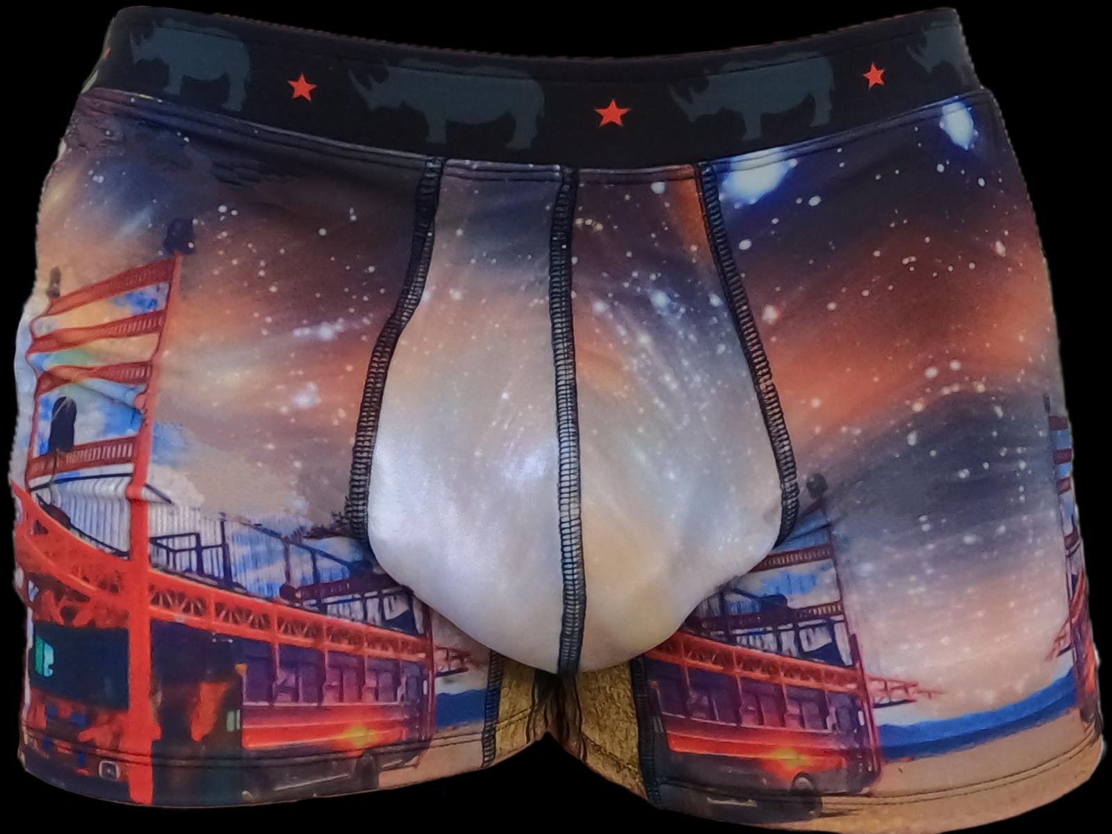 The Rhino’s Golden Gate Playa Man Trunks